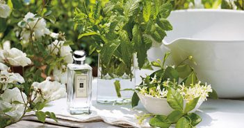 كيفية صناعة عطر الياسمين صناعة عطر الياسمين