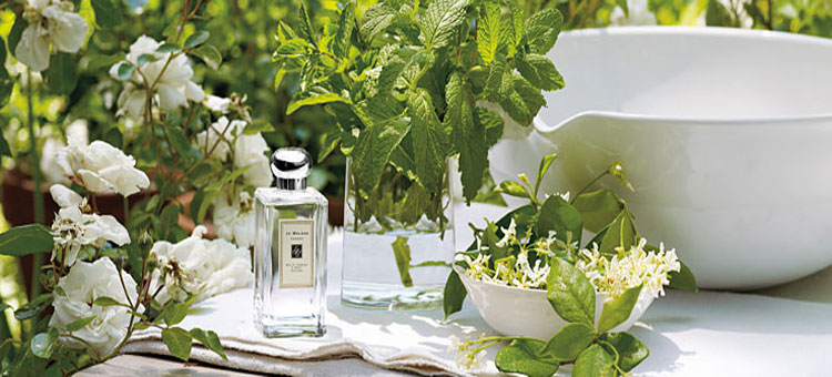 صناعة عطر الياسمين